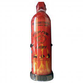 Foam Fire Extinguisher 750ml