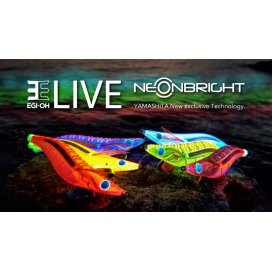 Yamashita Egi Oh Live Neon Bright Squid Jigs