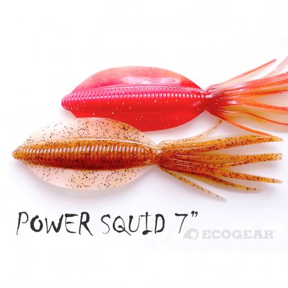 Σιλικονούχο Καλαμάρι Ecogear Power Squid