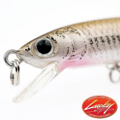 Lucky Craft Flash Minnow 80SP Lures