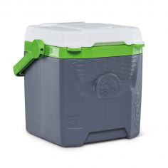 Igloo Quantum Cooler Box